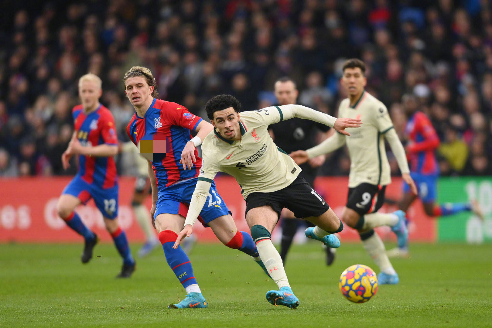 这种掌声带 这种掌声带